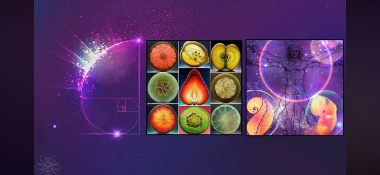 WhatsApp Image 2025-02-08 at 12.24.12 PM